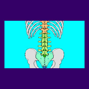 SI Joint Sacroiliitis - Back Pain