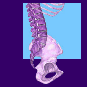 Lumbar Spine - Back Pain