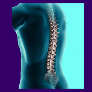 Upper Back Pain Symptoms - Back Pain